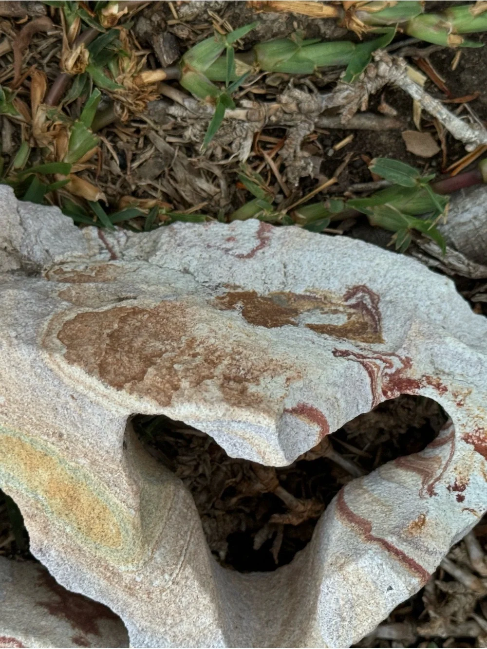 Natural Sandstone Decorative Rock w/ Red & Cream Striations for Aquarium or Tank